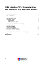 SQL INJECTION 101.pdf